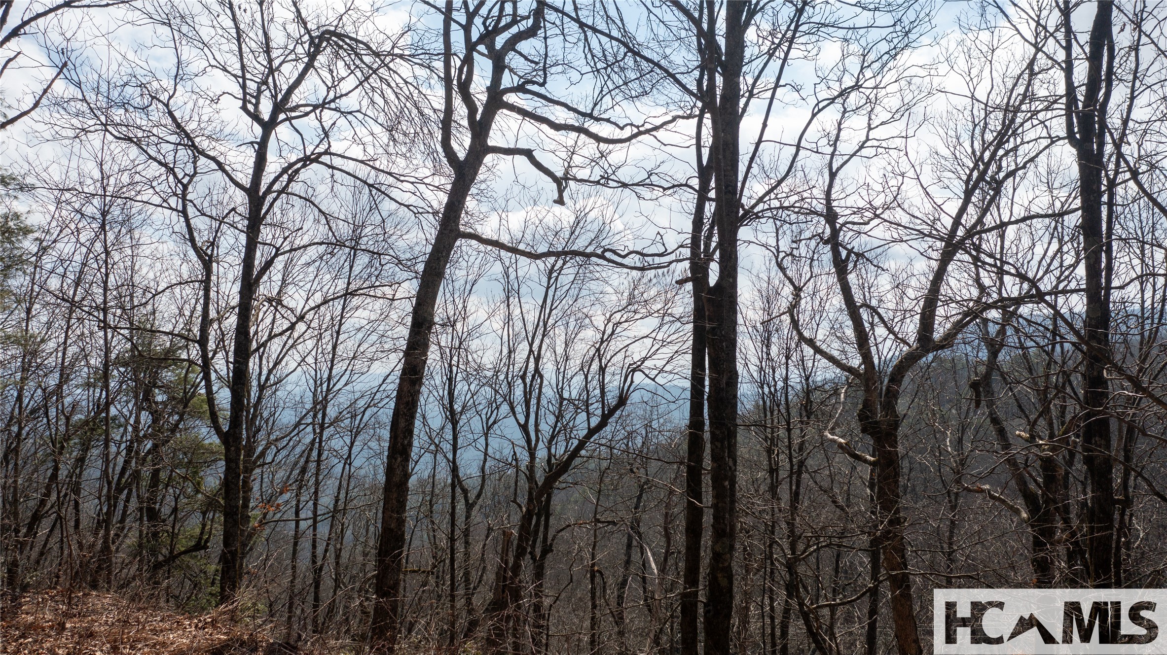 LOT 1 King Gap Road