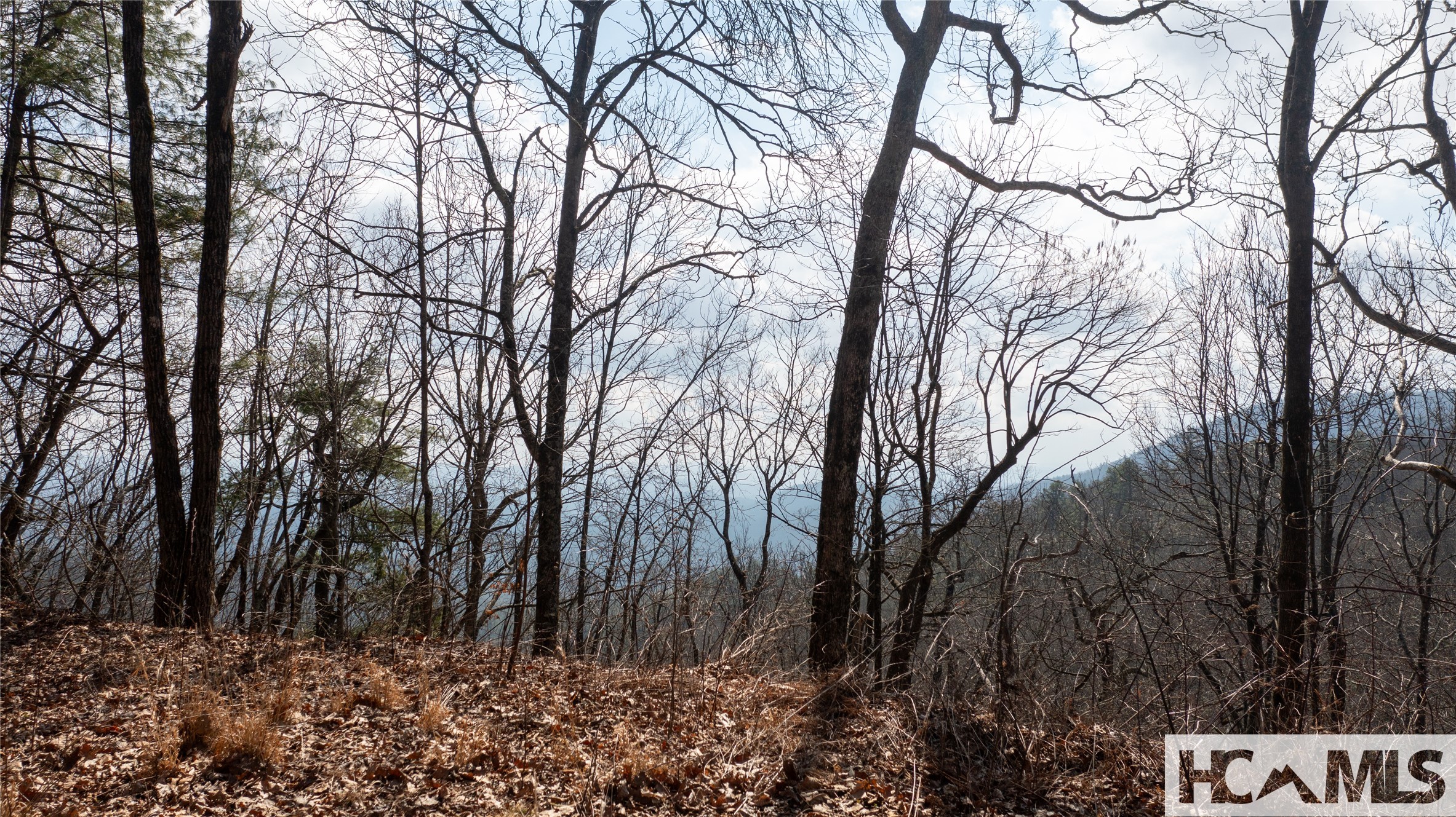 LOT 1 King Gap Road
