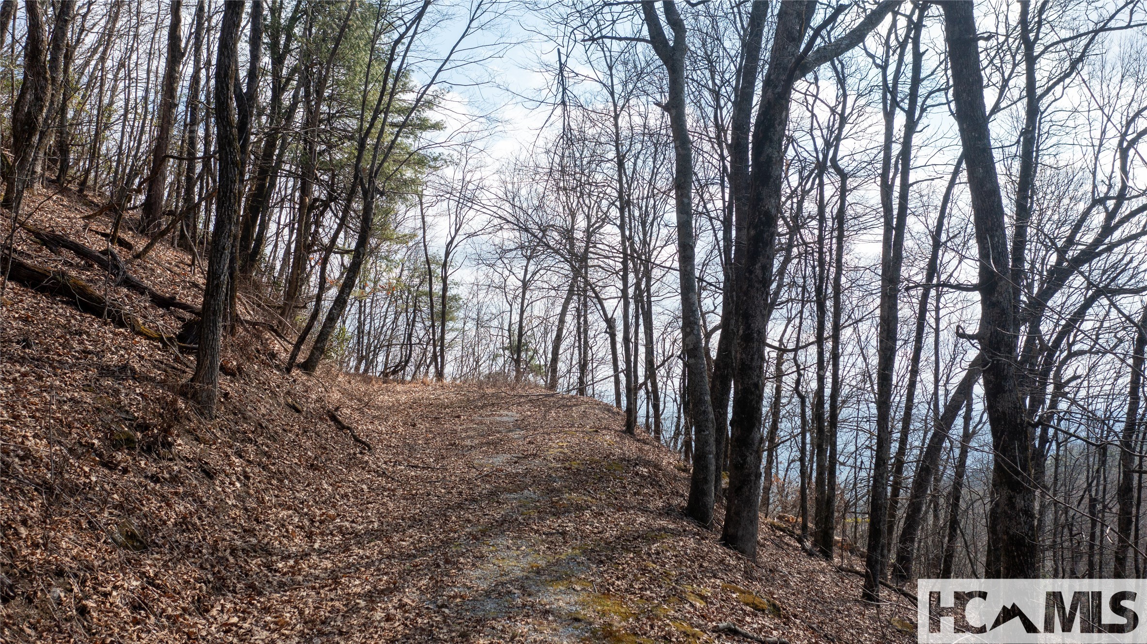 LOT 1 King Gap Road