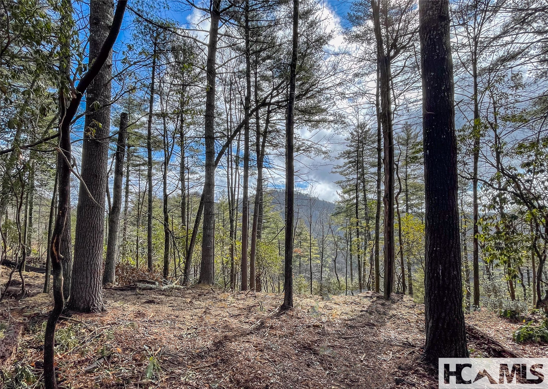 Lot 9 Saratay Falls Drive