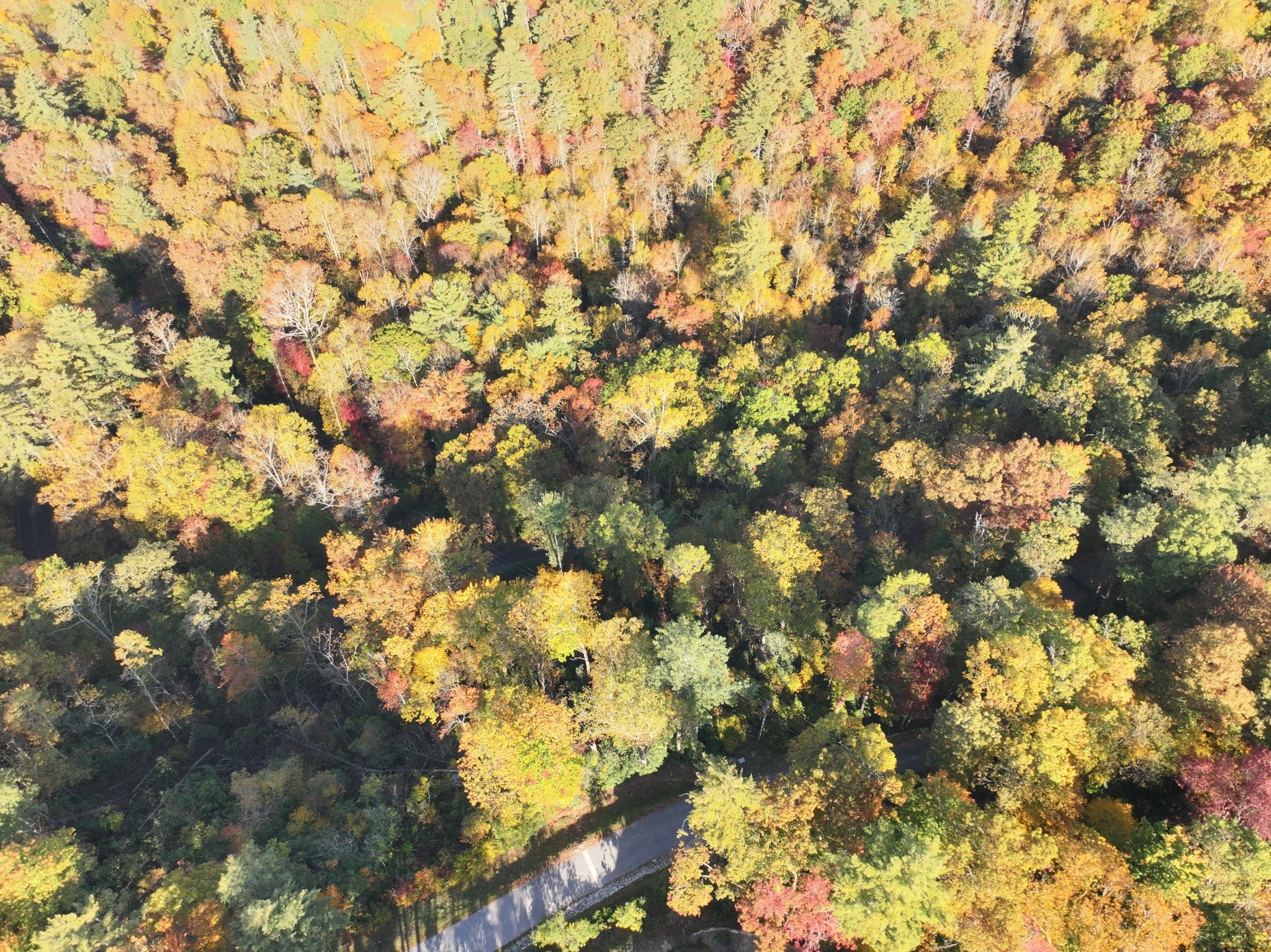 Lot 17 Saratay Falls Drive
