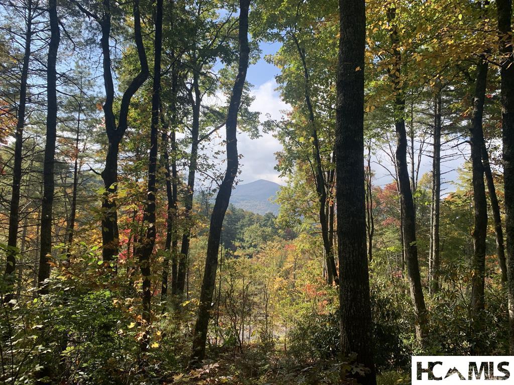 Lot 4 Saratay Falls Drive