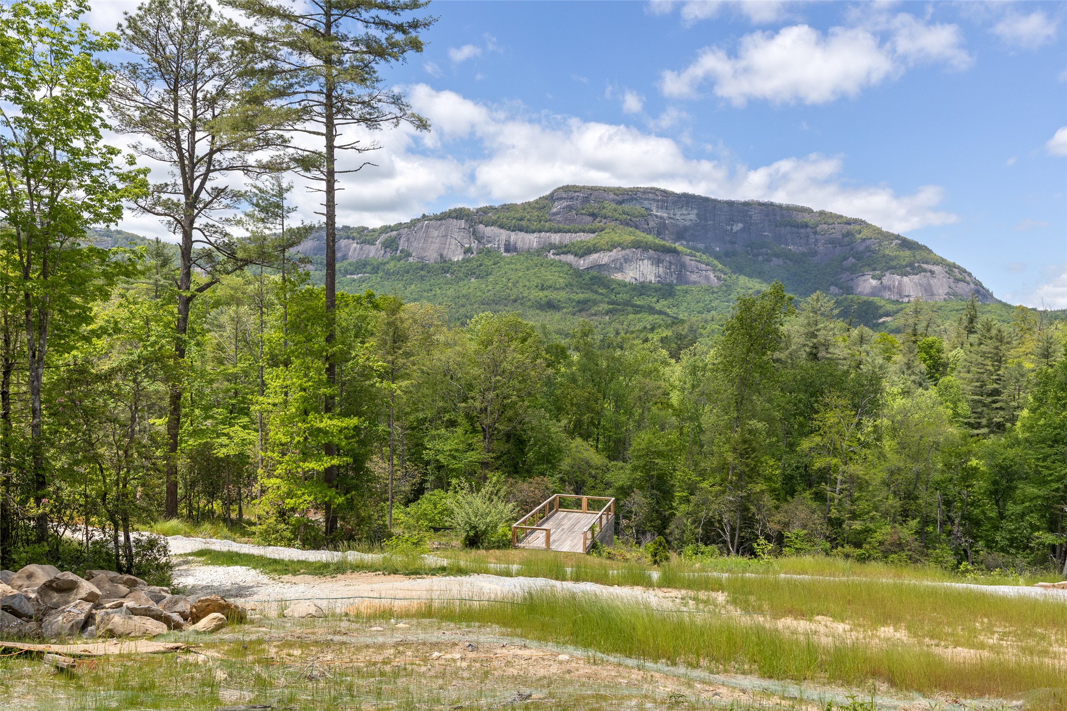 206 Sanctuary View Trail