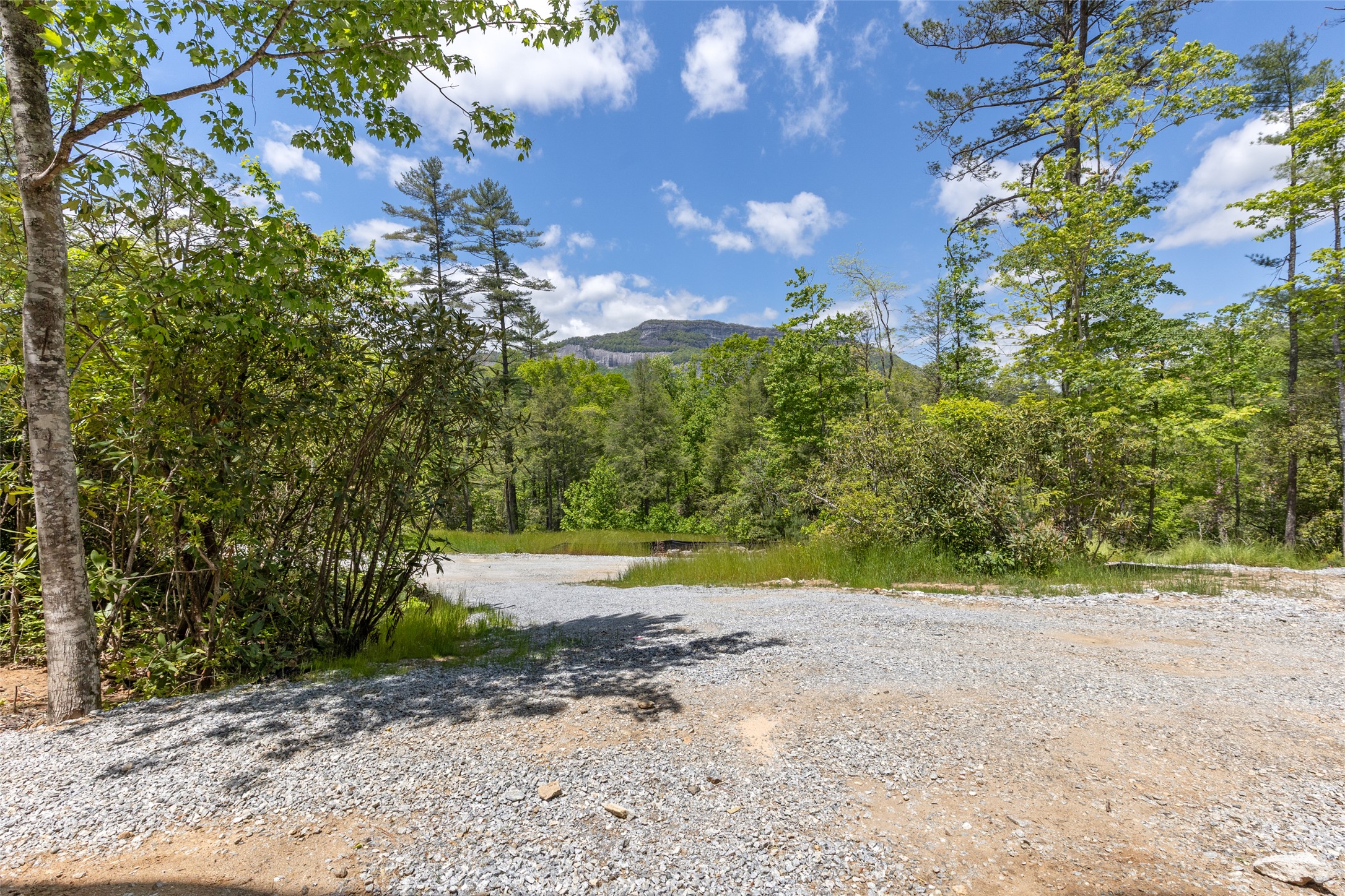 206 Sanctuary View Trail
