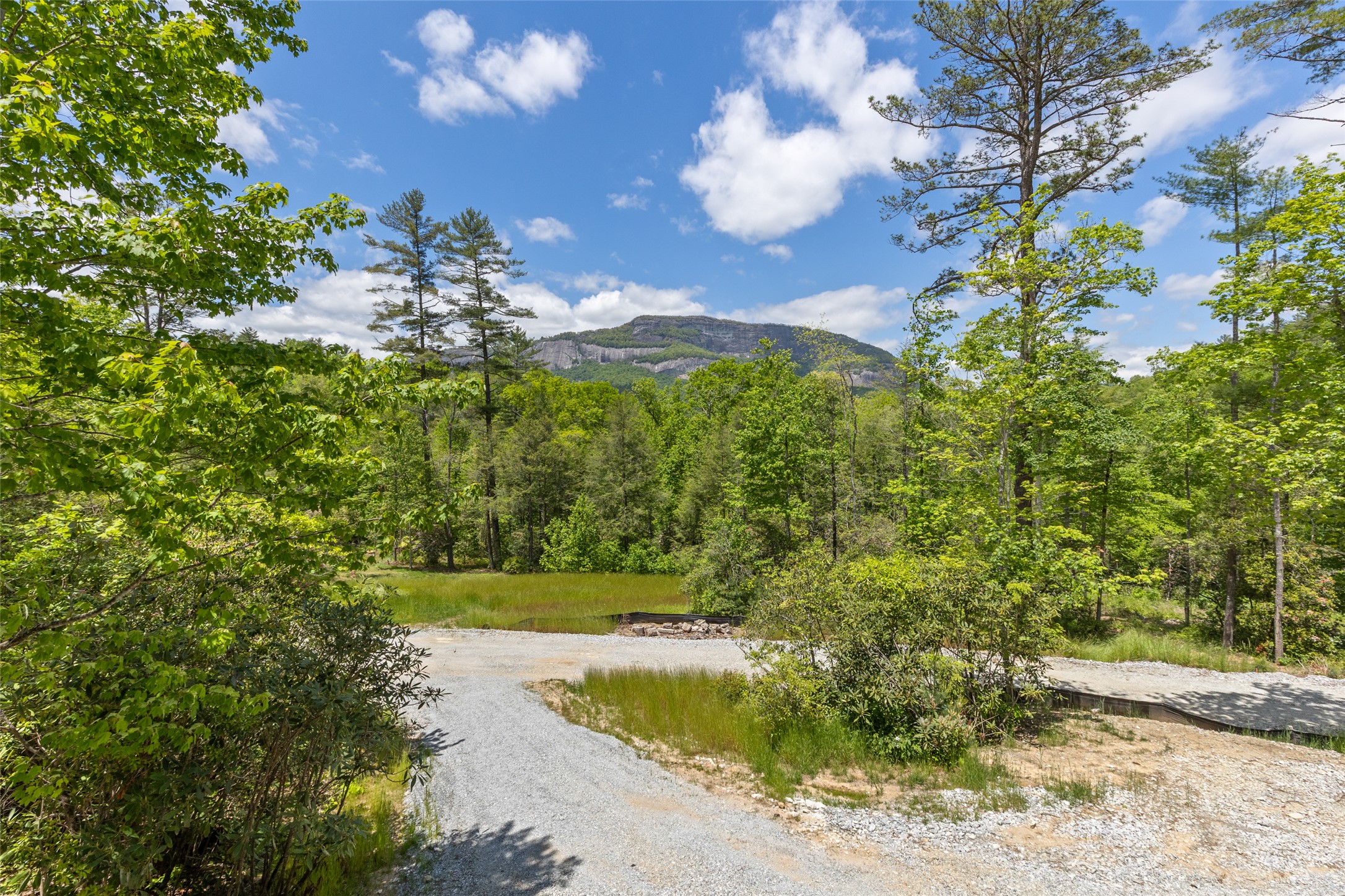 206 Sanctuary View Trail