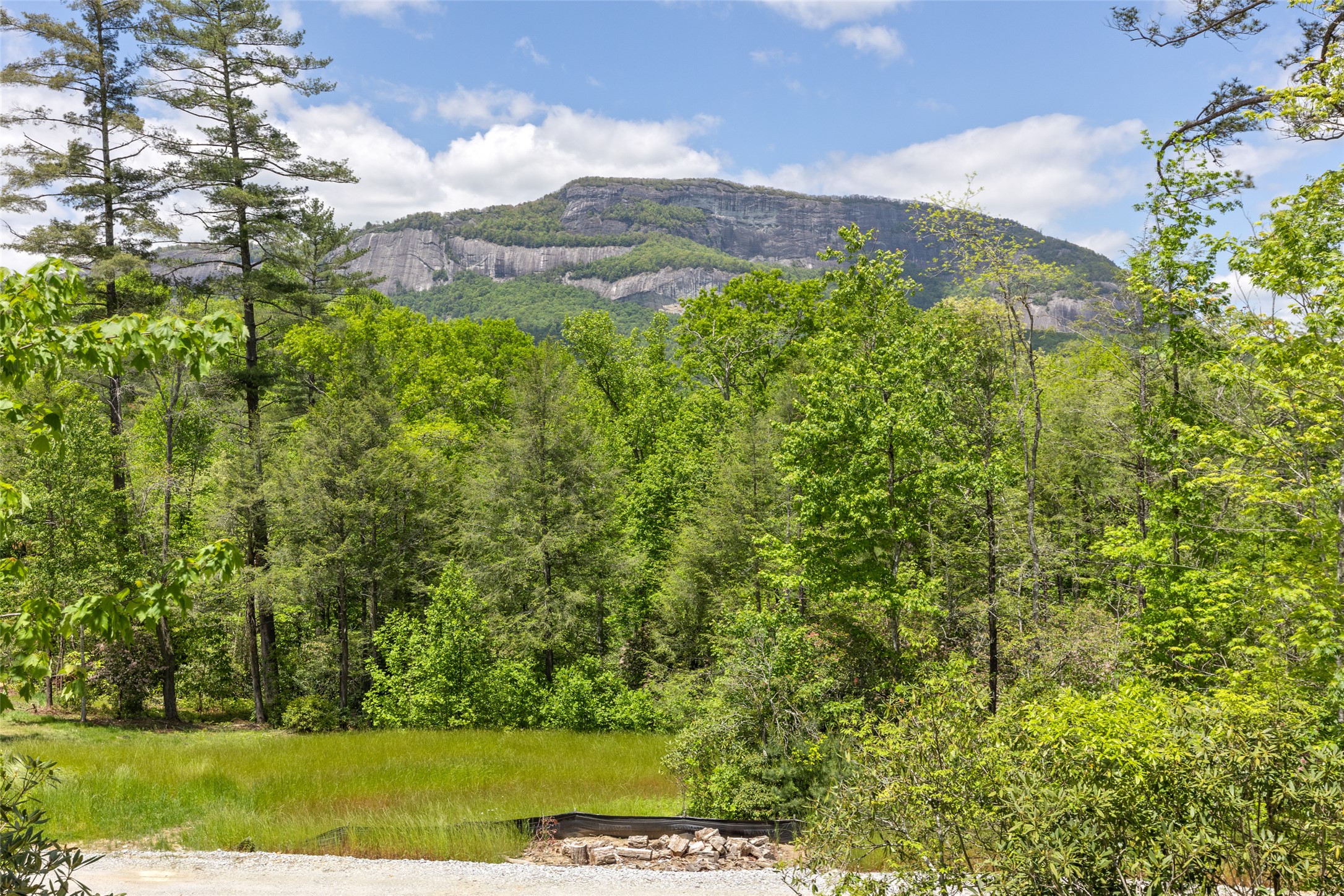 206 Sanctuary View Trail