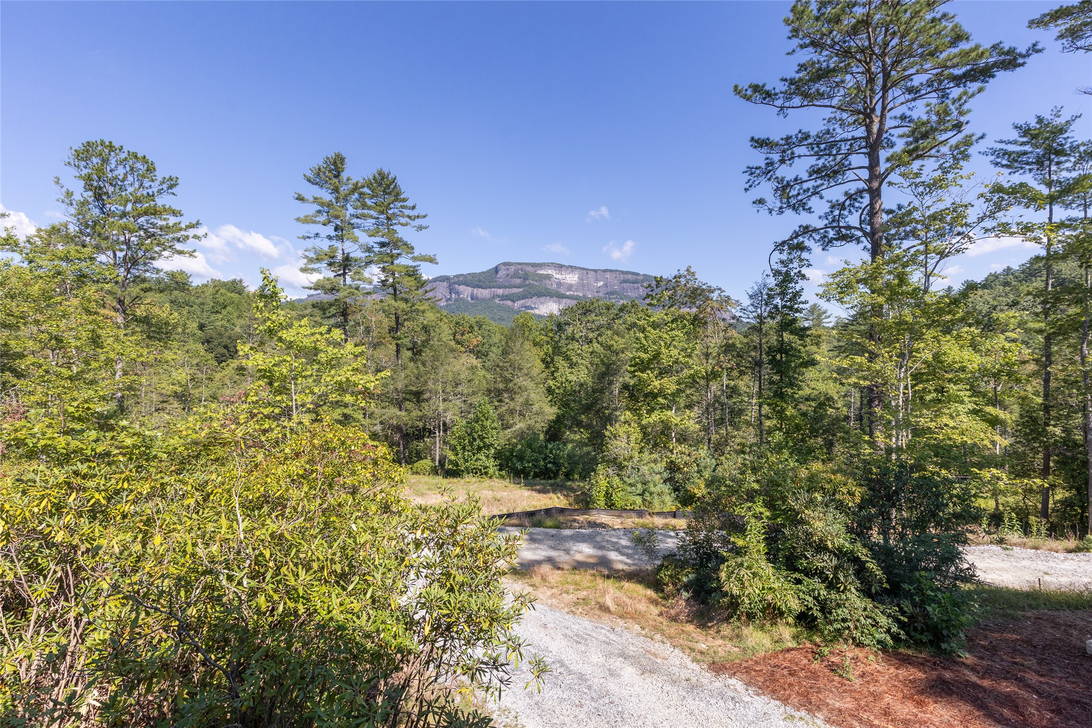 206 Sanctuary View Trail