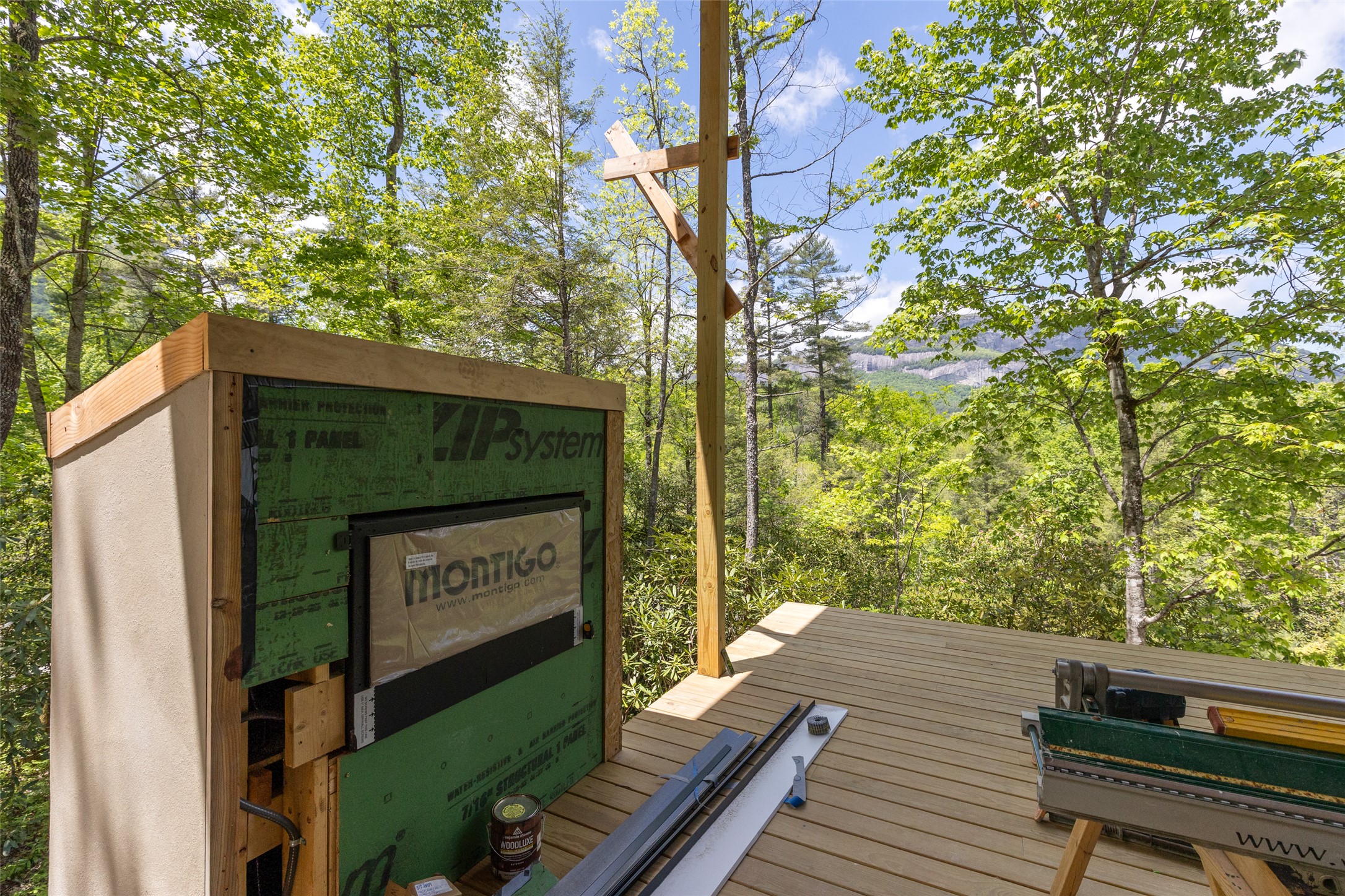 206 Sanctuary View Trail