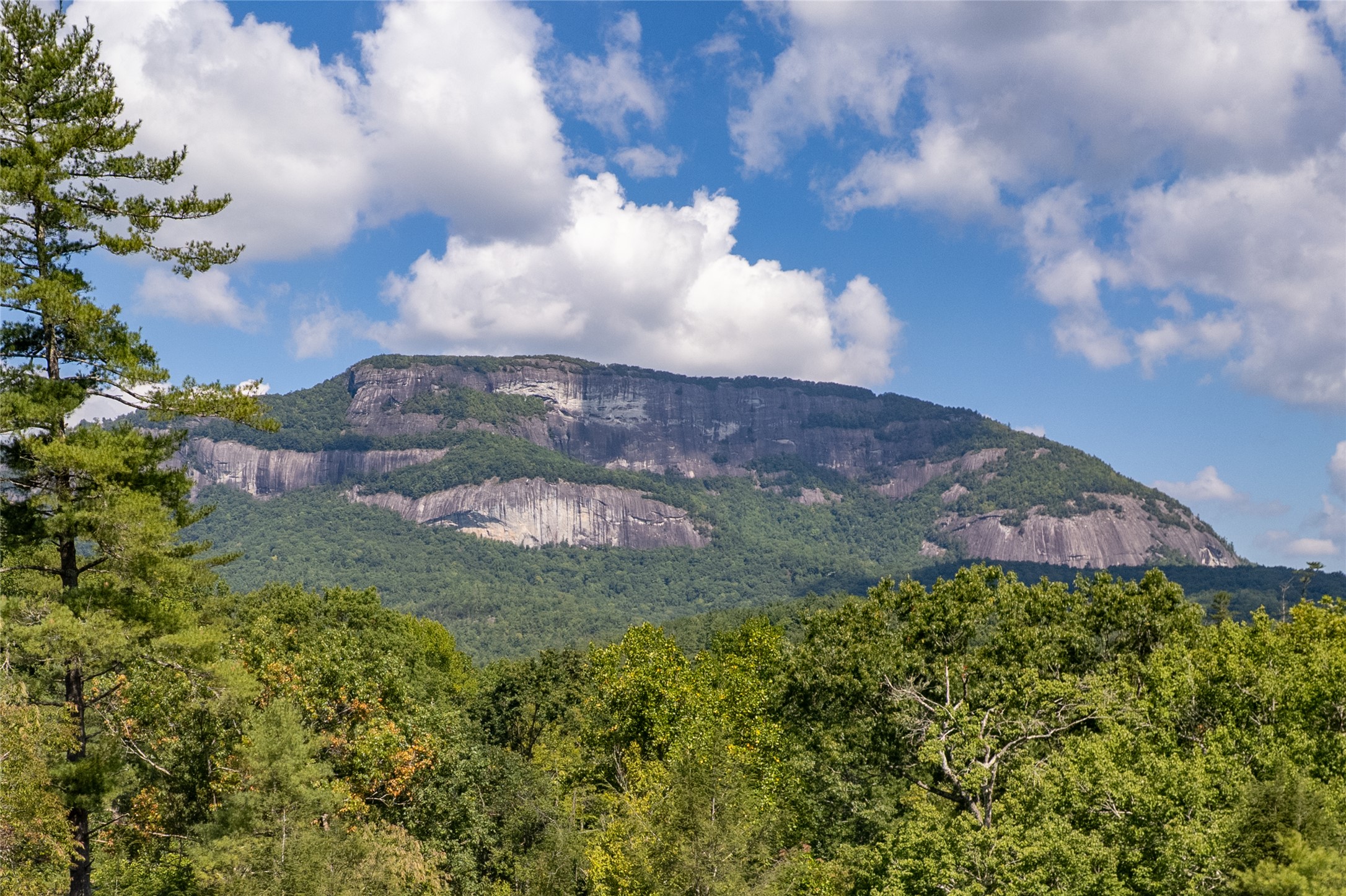 206 Sanctuary View Trail