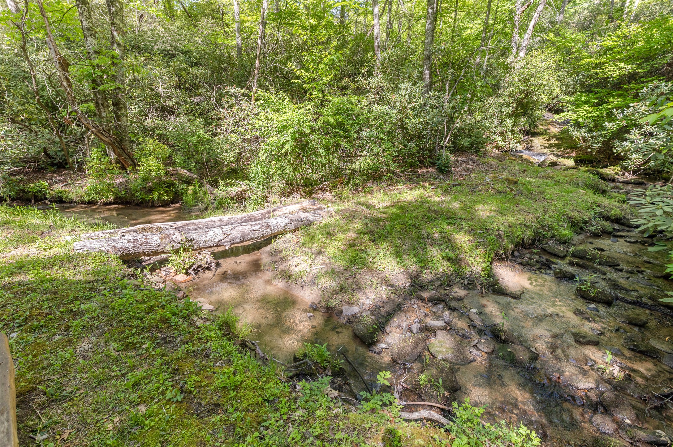 46 Lightning Bug Trail