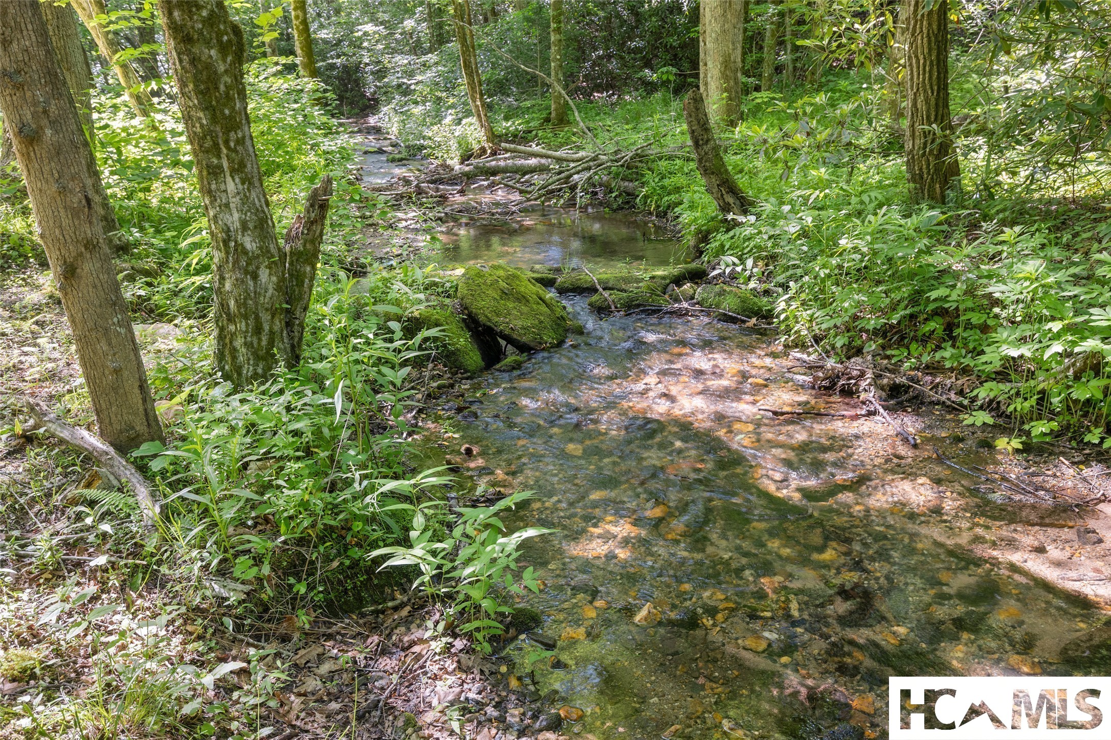 427 Mulberry Ridge Road
