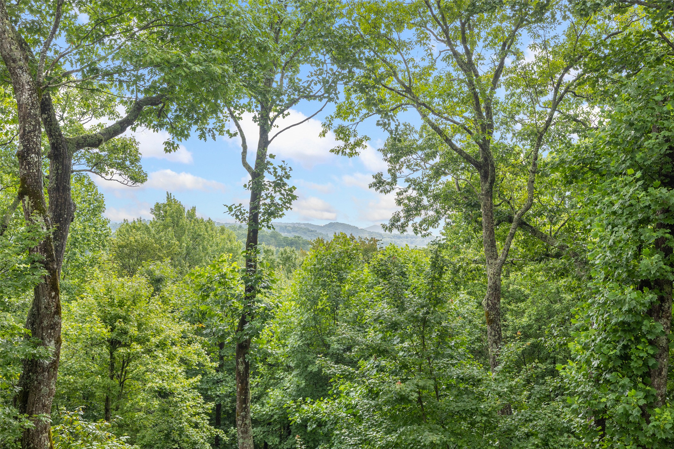 245 Woodland Ridge Drive