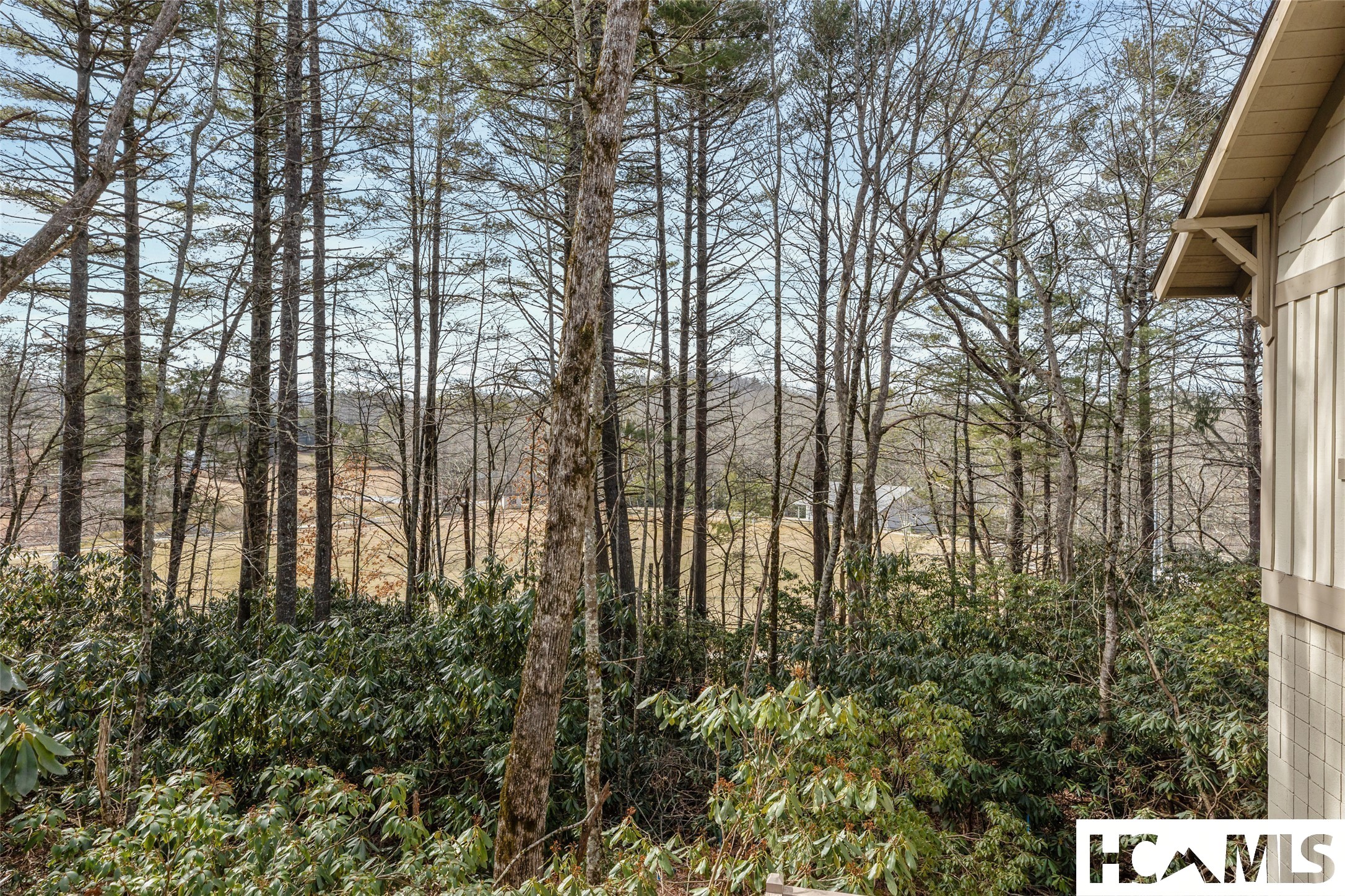 55 Wood Lily Way