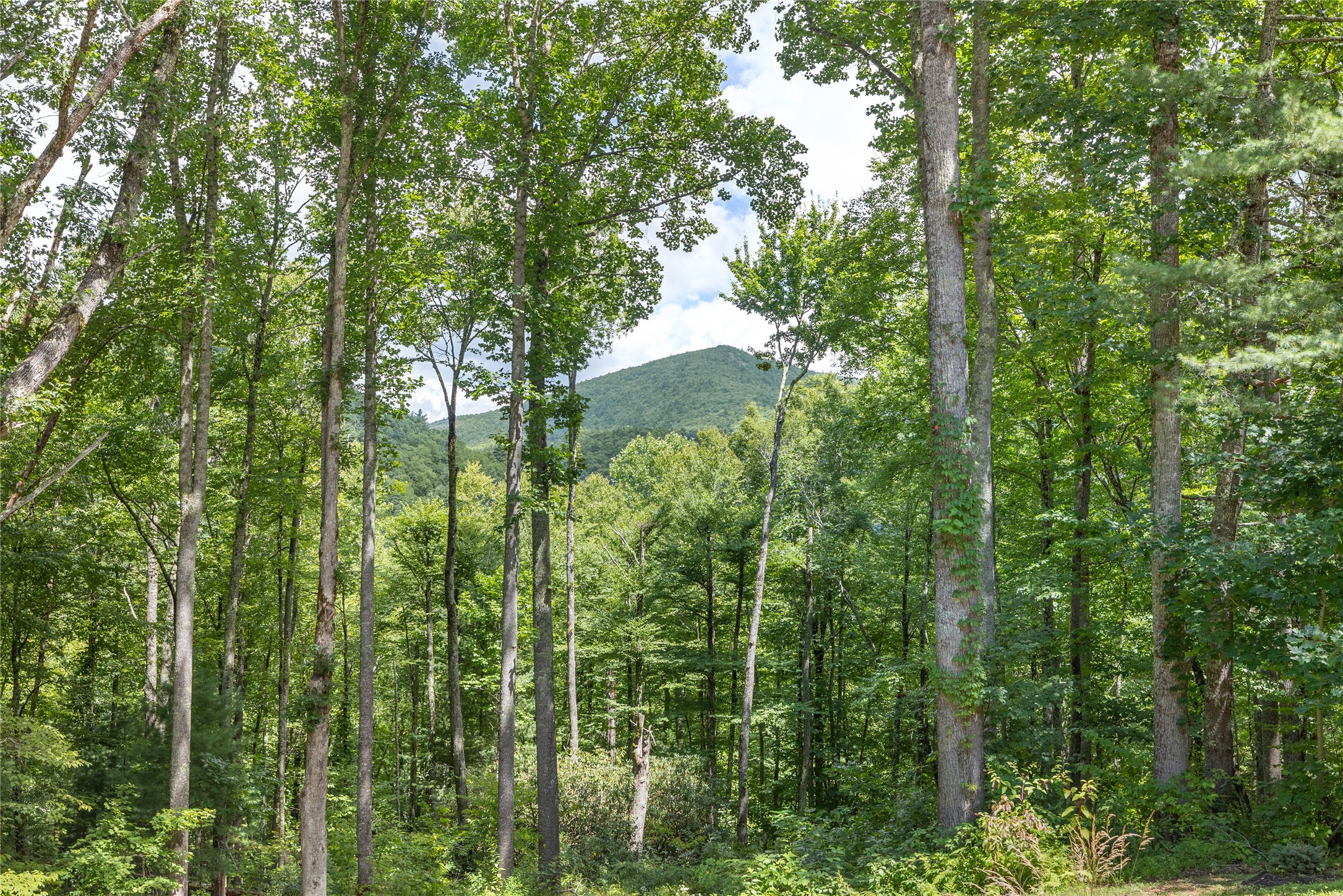 6837 Buck Creek Road