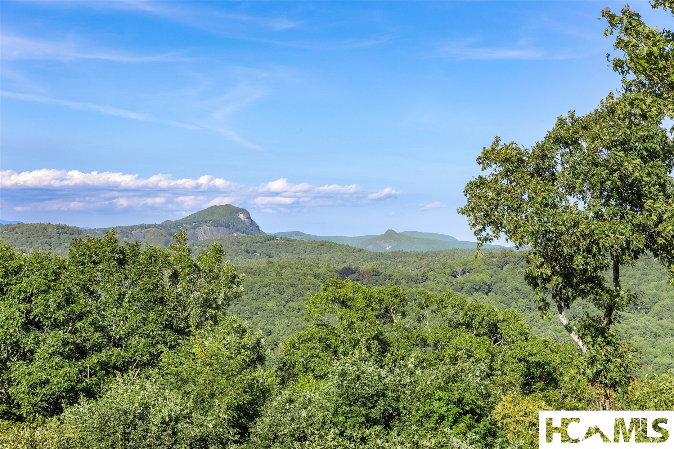 264 Upper Brushy Face Road