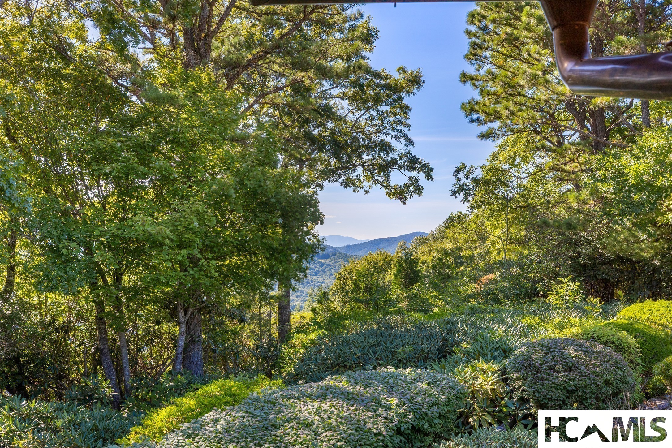 264 Upper Brushy Face Road