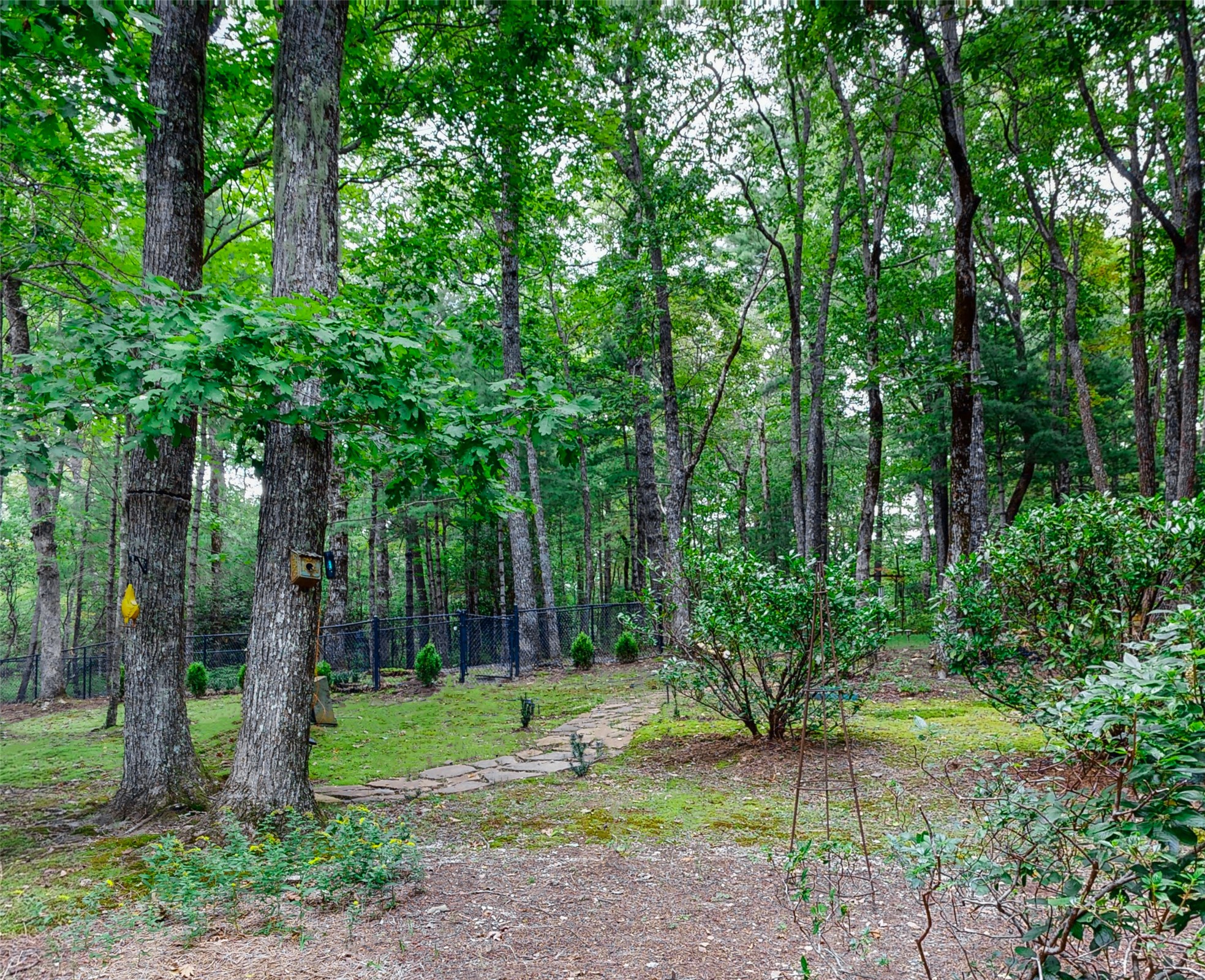 424 Split Rail Row