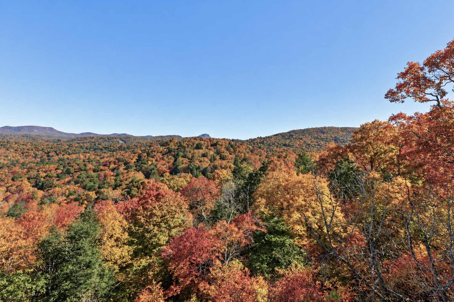 289 Lower Brushy Face Road