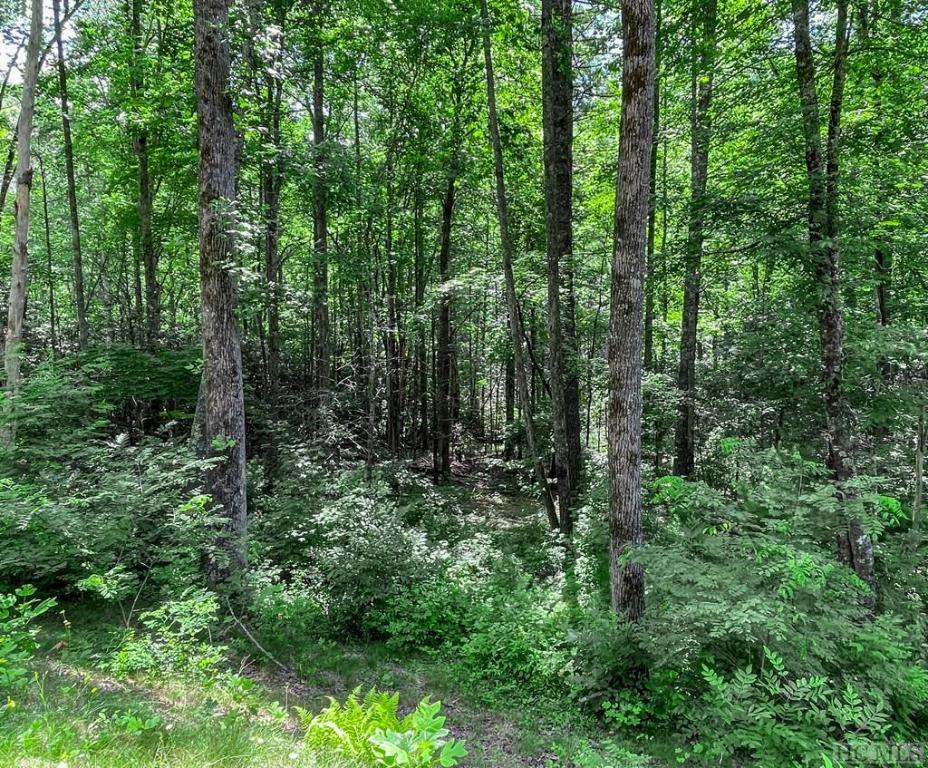 Lot 56 Farmhouse Trail