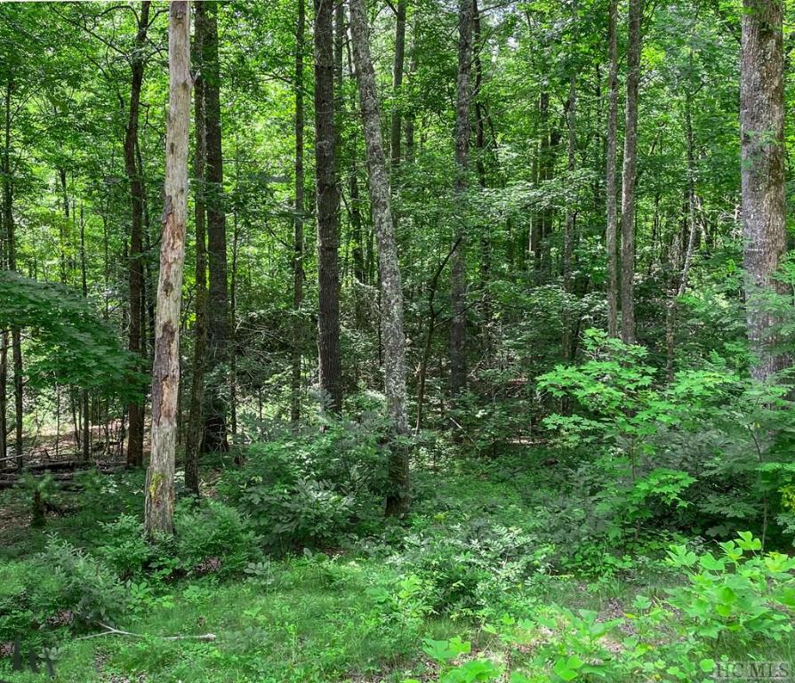 Lot 56 Farmhouse Trail