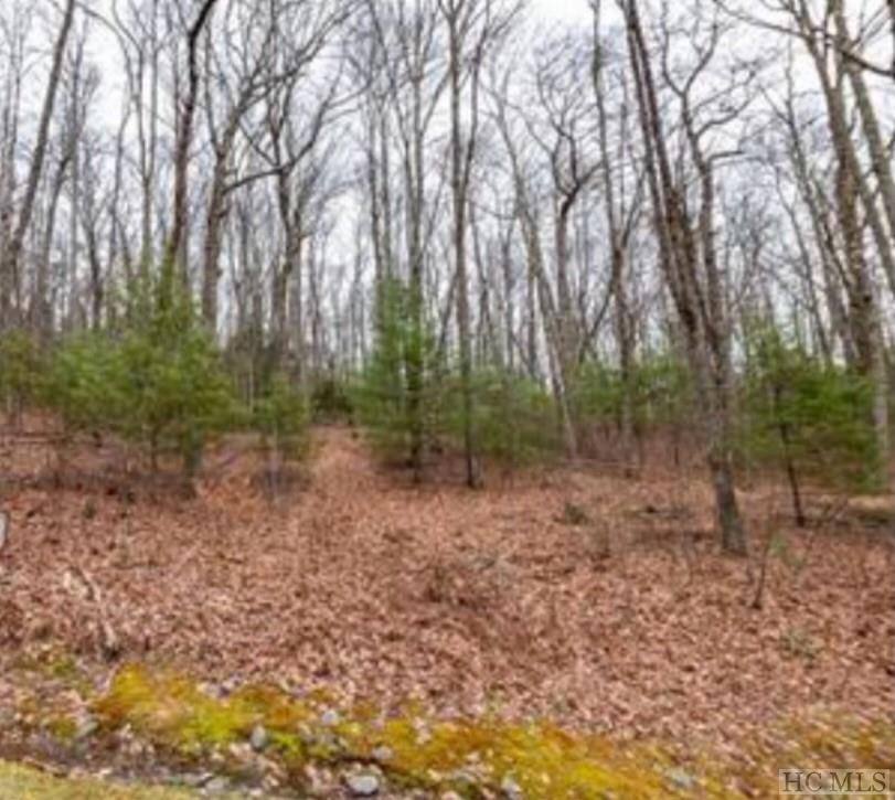 8&9 Woodland Ridge Drive