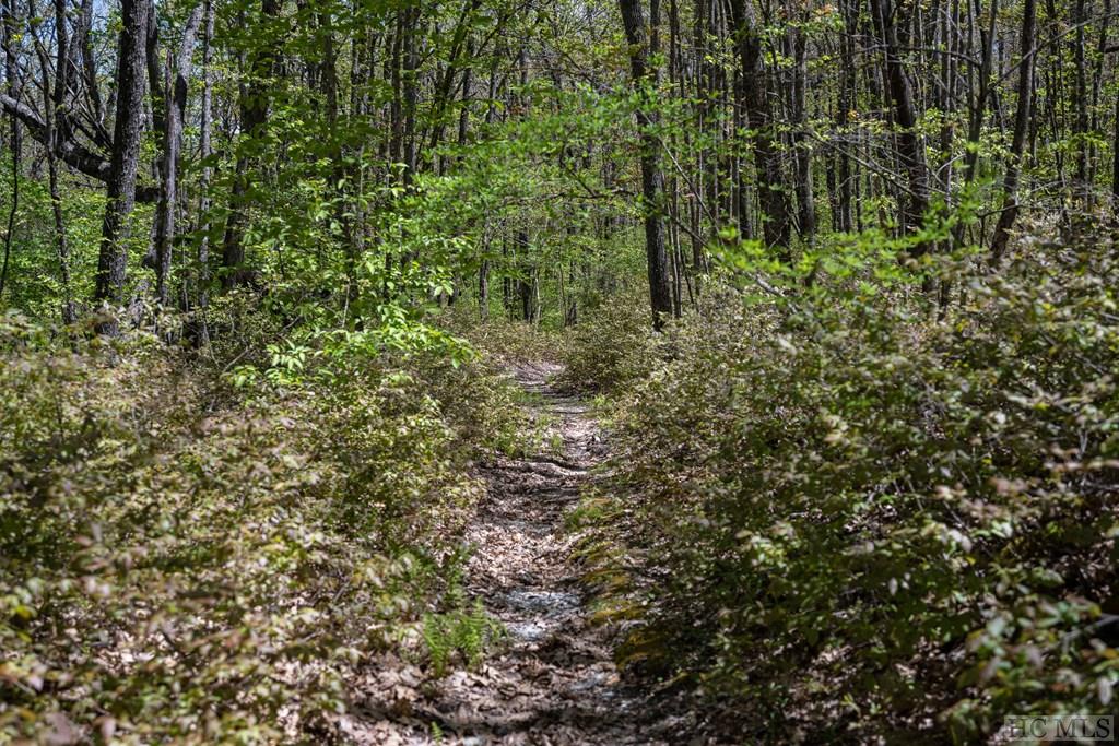 1913 Bald Rock Drive East