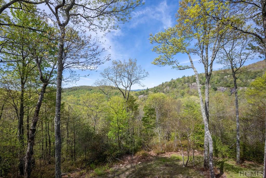 1913 Bald Rock Drive East