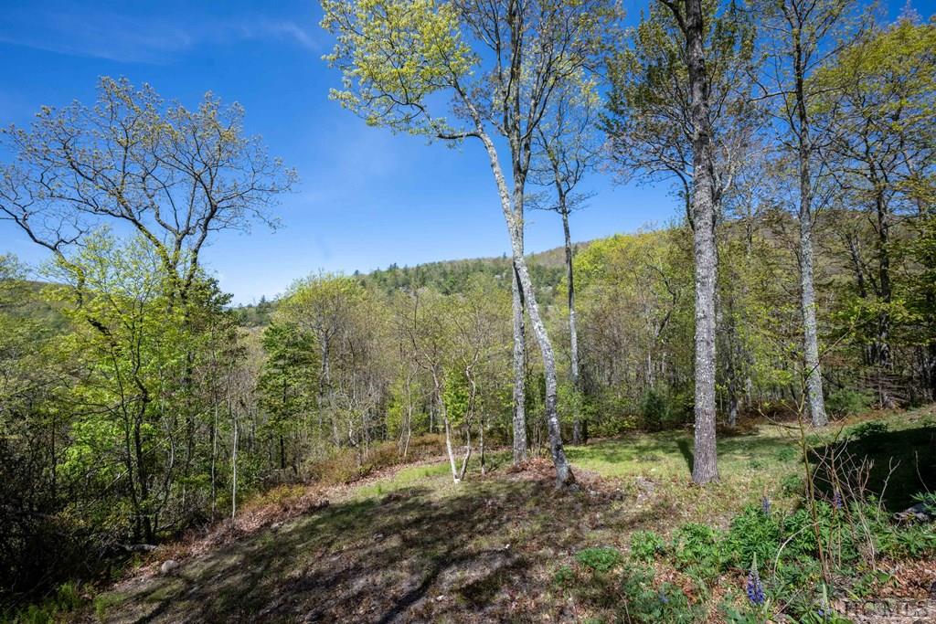 1913 Bald Rock Drive East