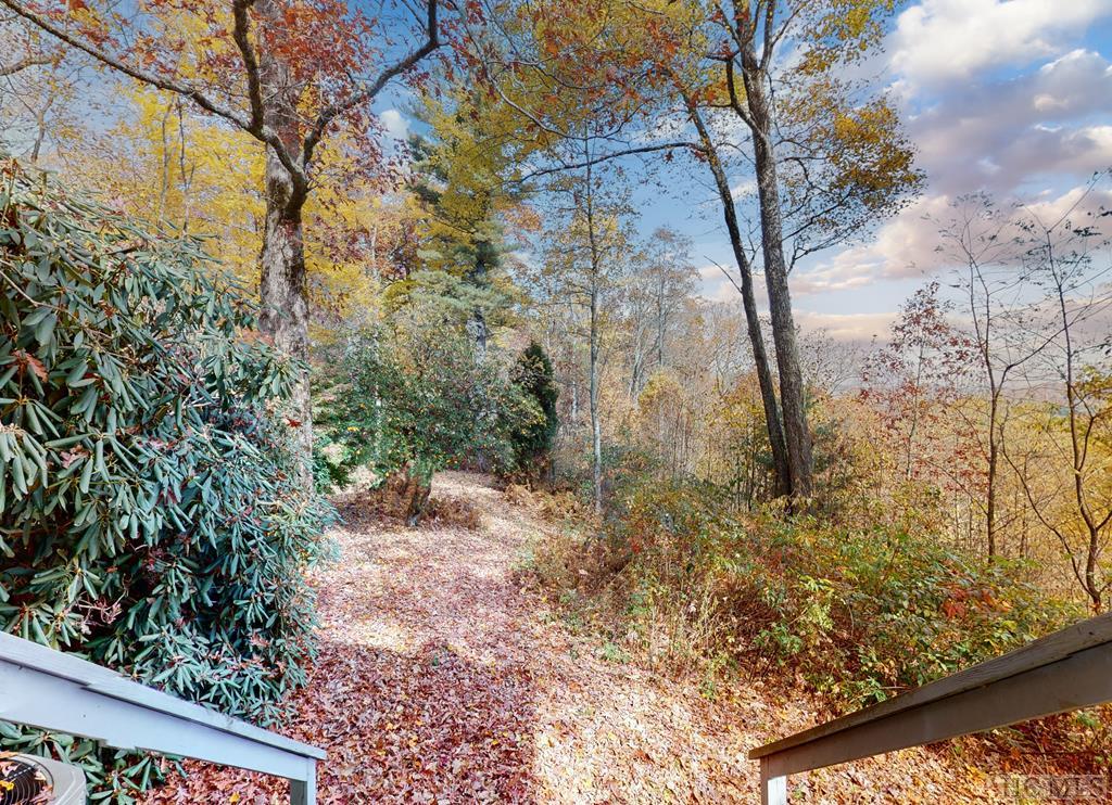 425 Dog Mountain Road