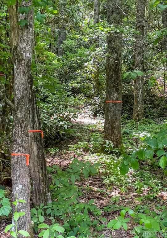 Lot 16 Fountainhead Drive