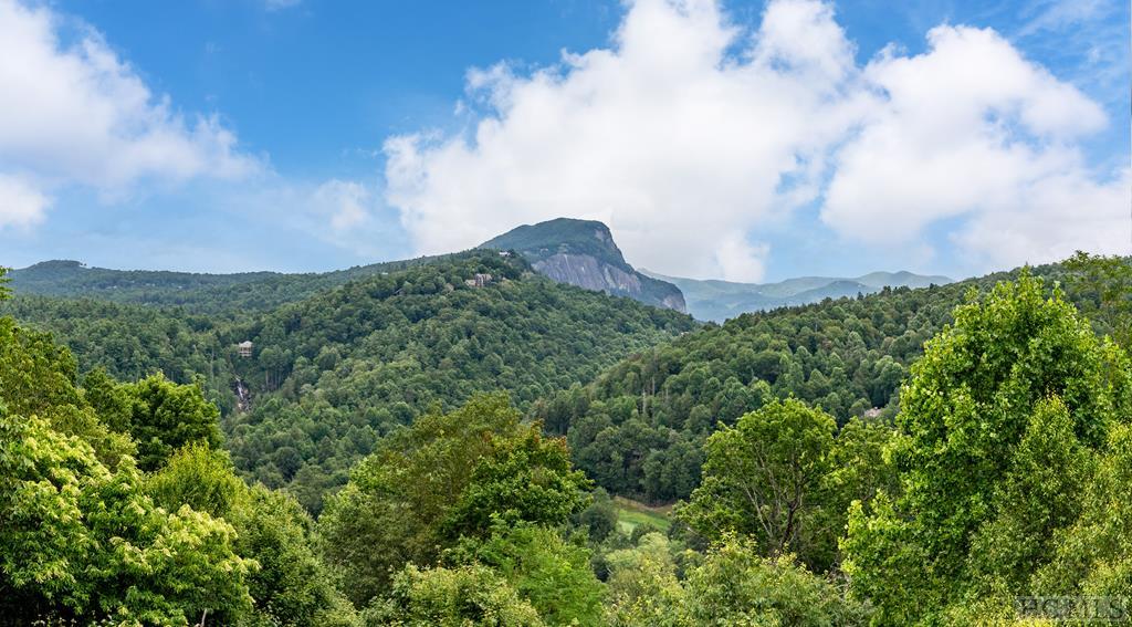 490 North Big Bearpen Mountain Road