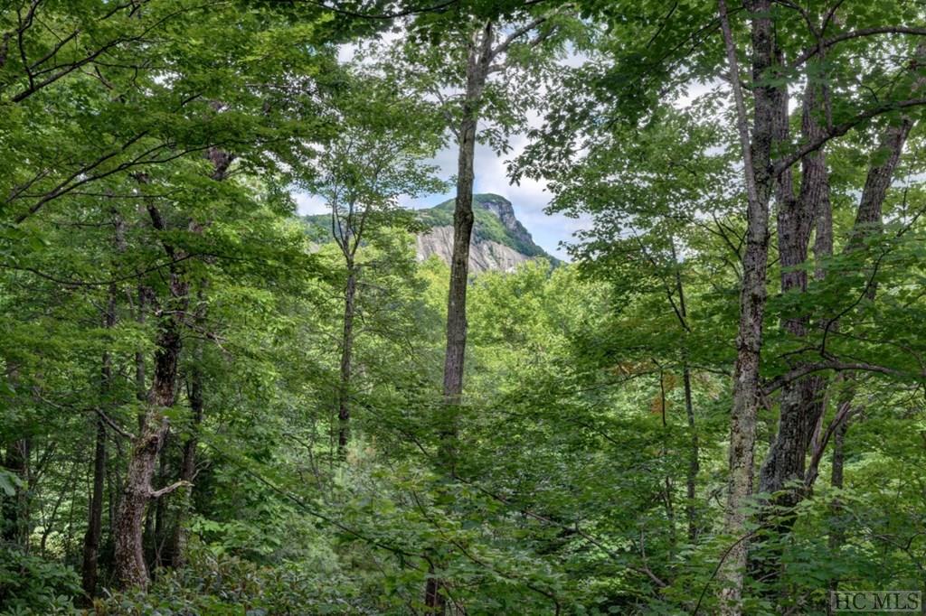 2227 Upper Divide Road