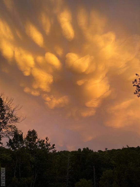 220 Sherwood Forest Road