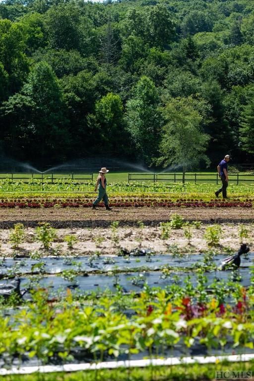 Lot 1 Summer Sky Lane