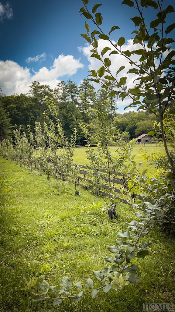 Lot 1 Summer Sky Lane