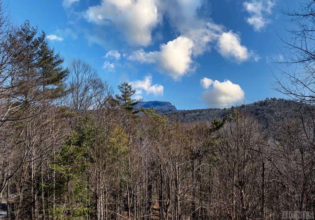 480 Flat Mountain Estates Road