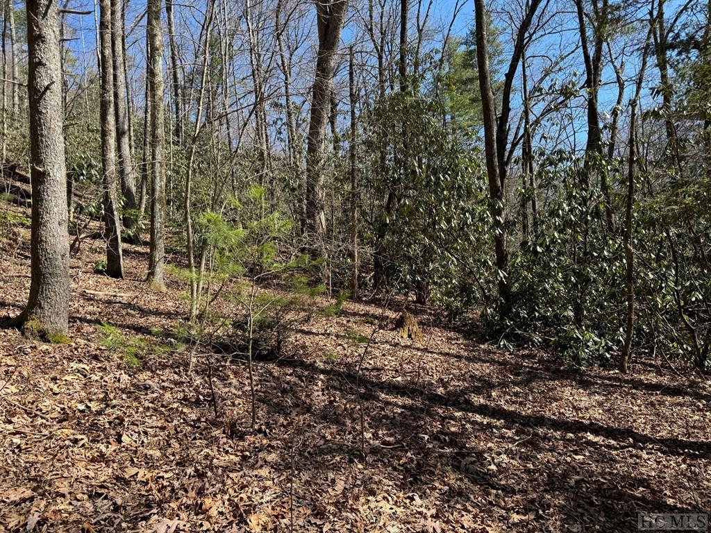 TBD Clear Creek Road