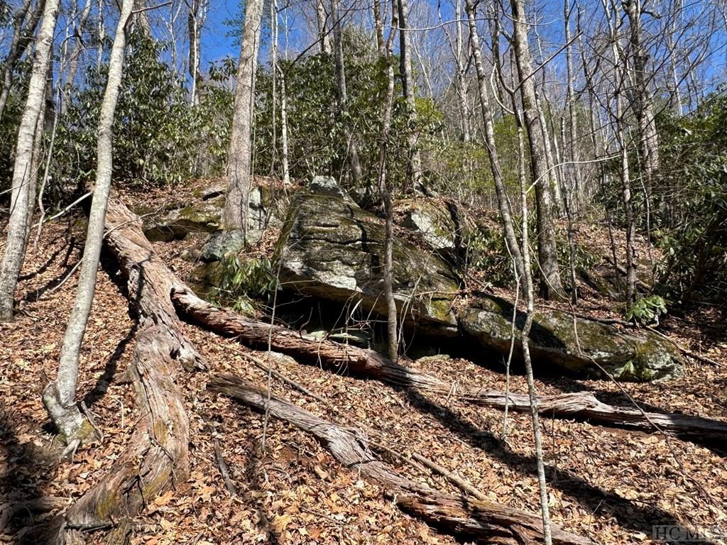 TBD Clear Creek Road