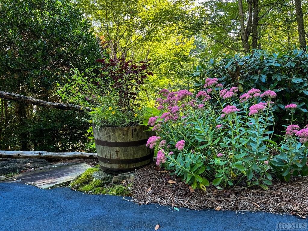 50 Catamount Trail