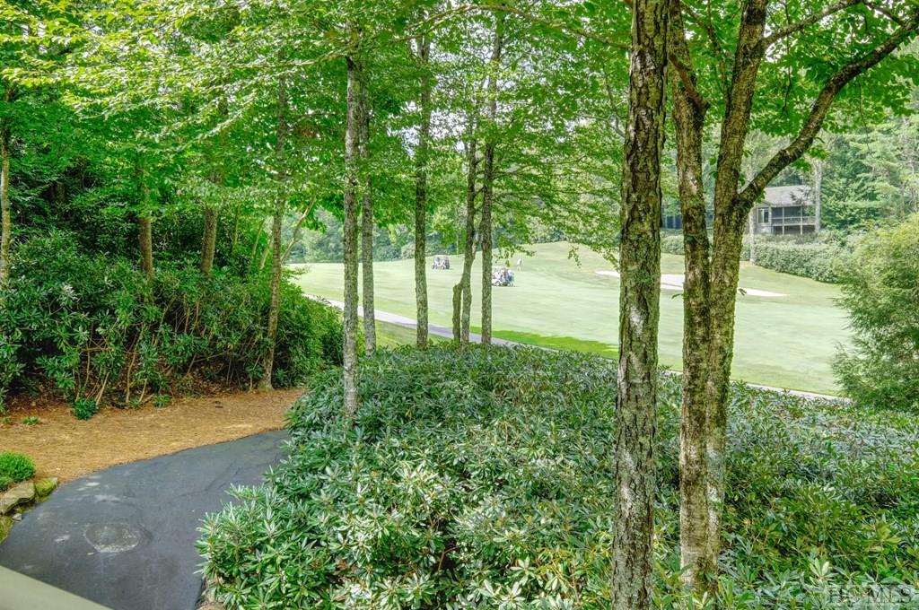 50 Catamount Trail