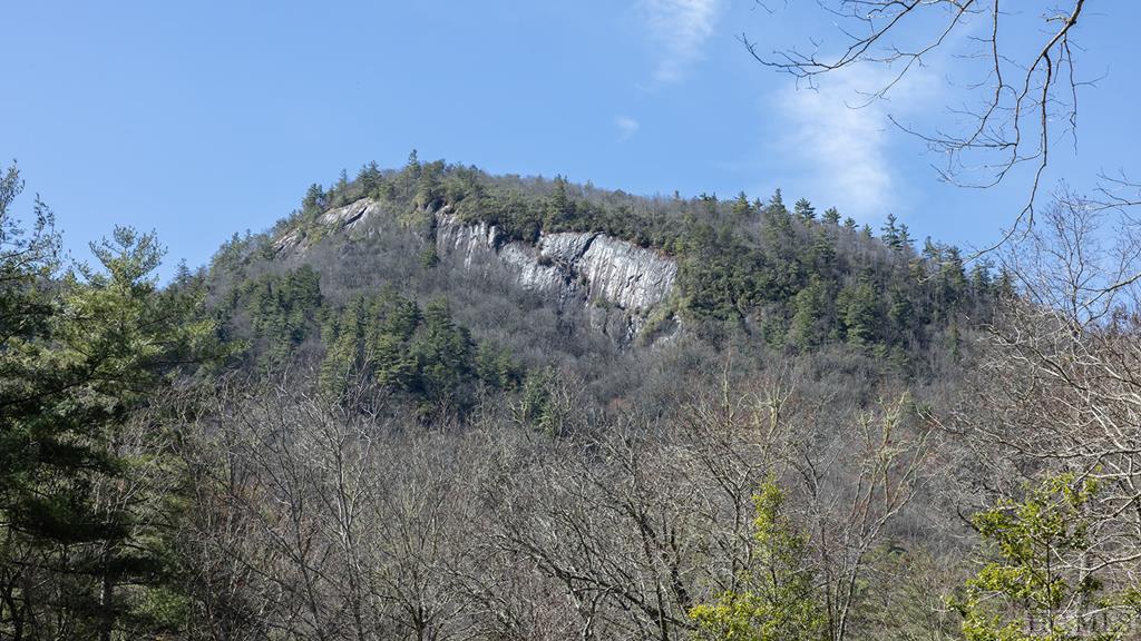 580 Edwards Creek Road