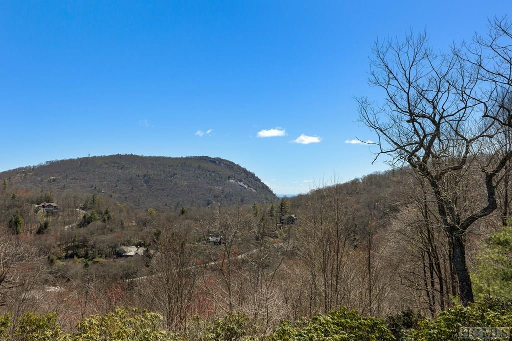 21 Lower Brushy Face Circle