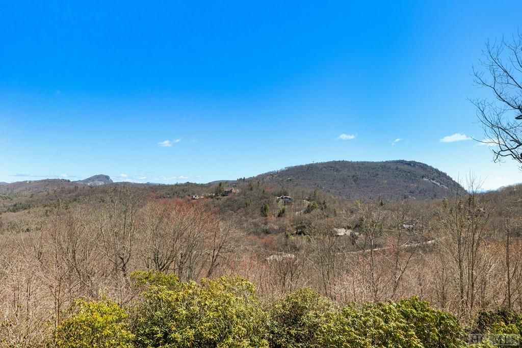 21 Lower Brushy Face Circle