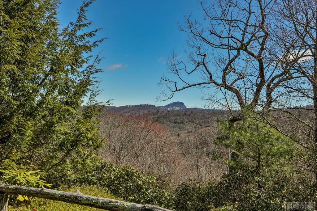 21 Lower Brushy Face Circle