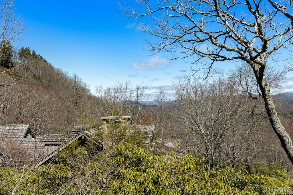 21 Lower Brushy Face Circle