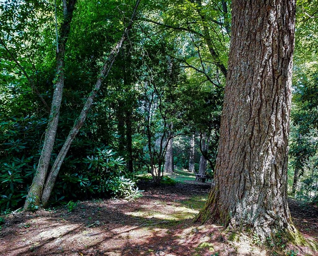 65 Beaver Run Road