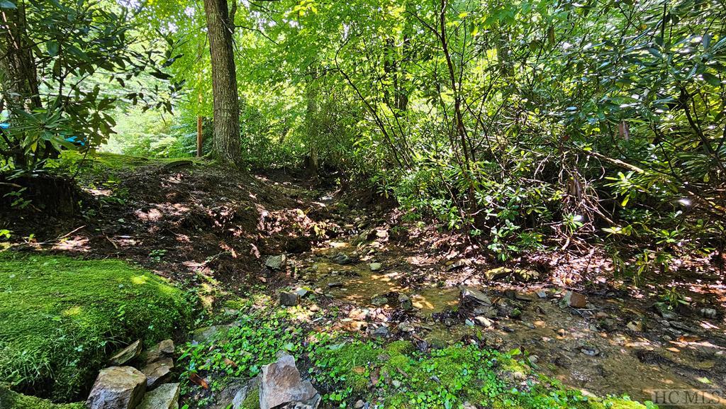 436 Natureview Lane