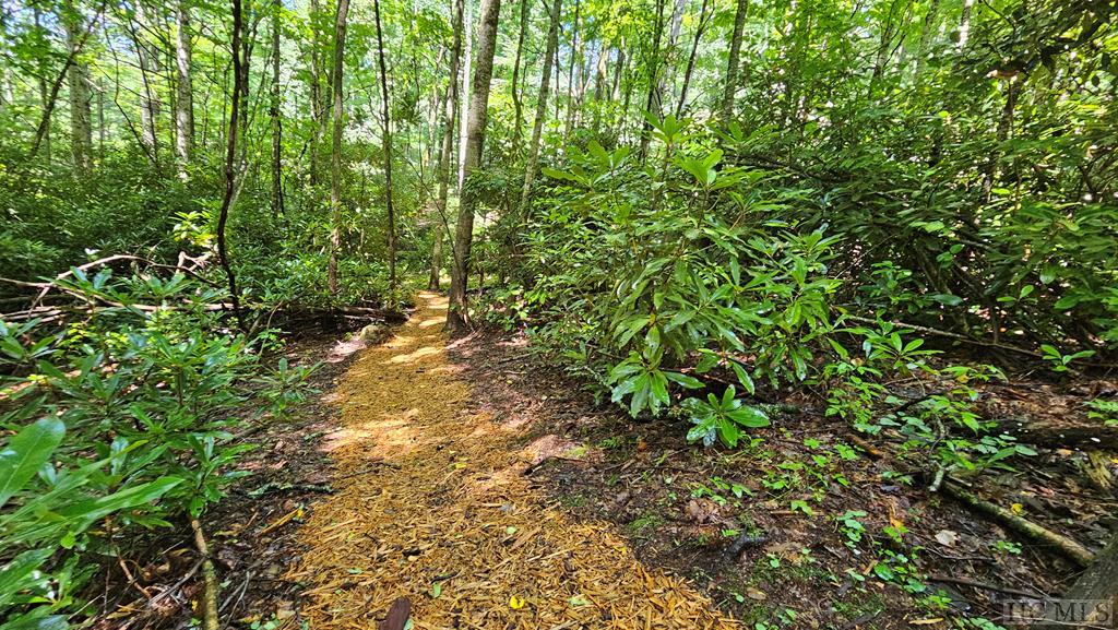 436 Natureview Lane