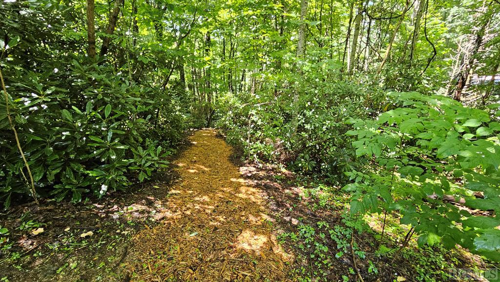 436 Natureview Lane
