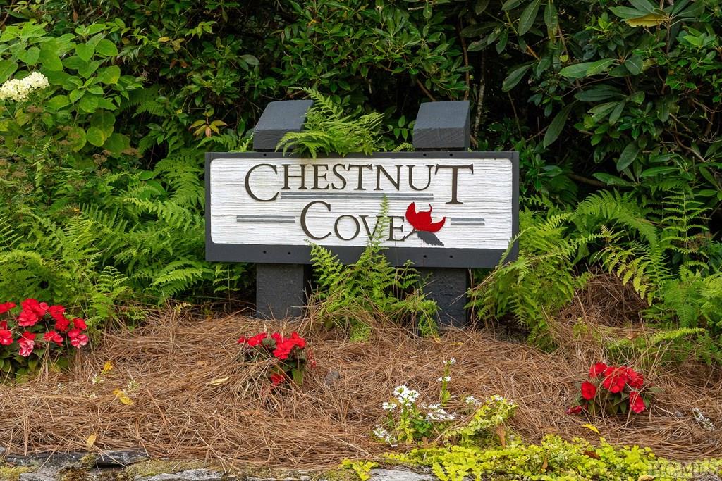 107 Chestnut Cove D